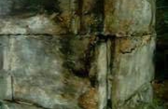 Chimney-Repairs-1