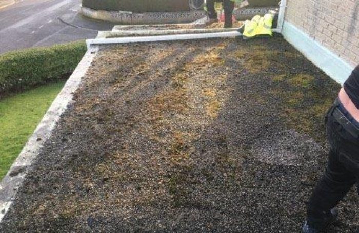 Flat-roofs-7