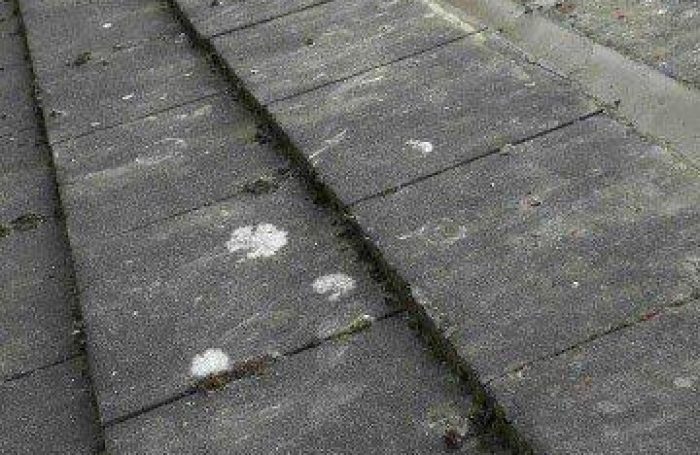 Gutter-Cleaning-5