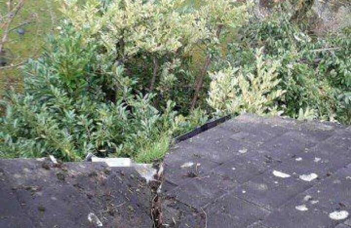 Gutter-Cleaning-6