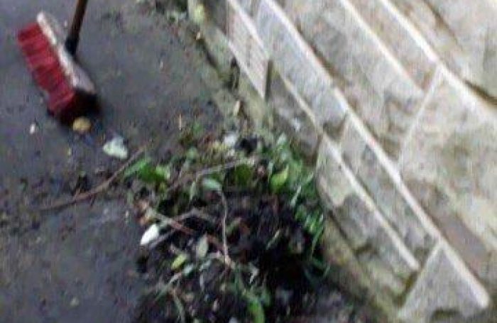 Gutter-Cleaning-8