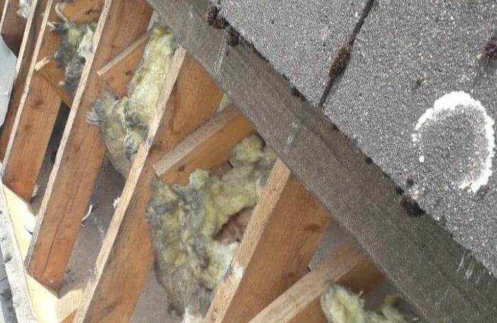 Roof-repair-4